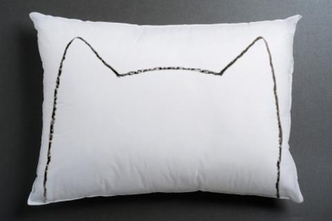 cat pillow case