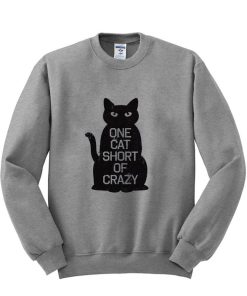 Crazy cat sweatshirt