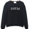 DIEM sweatshirt