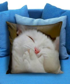 Laughing Cat Funny Pillow case
