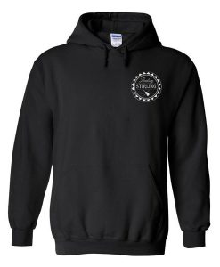 Lindsey Stirling Hoodie