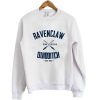 Ravenclaw Quidditch Harry Potter sweatshirt