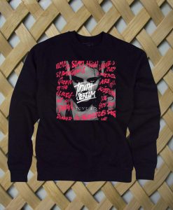 Truth Serum Tove  Lo sweatshirt