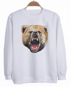 Bear sweatshirt