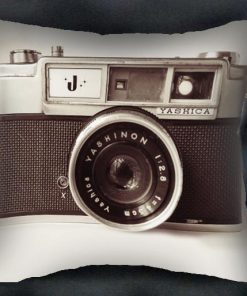 camera throw pillow case