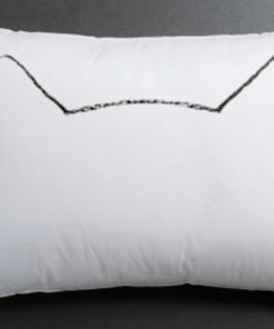 cat pillow case
