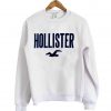 holister sweatshirt