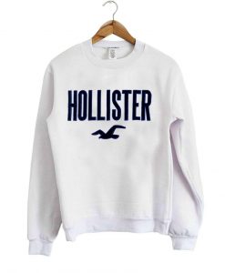 holister sweatshirt