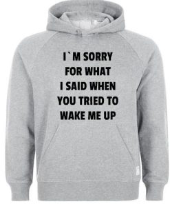 i'm sorry for what i said Hoodie