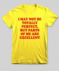 i may not be totally perfect T shirt