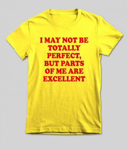 i may not be totally perfect T shirt