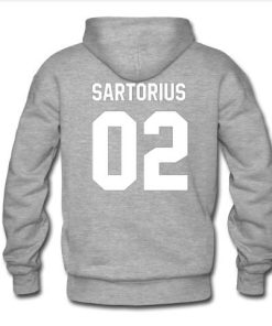 jacob sartorius 02 hoodie back
