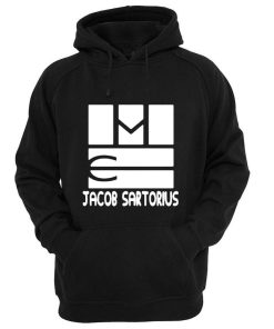jocob sartorius hoodie