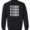 pabio sweatshirt back