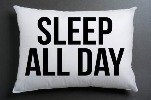 sleep all day pillow