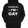 surprise i'm gay  hoodie