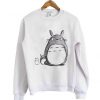 totoro 2 sweatshirt
