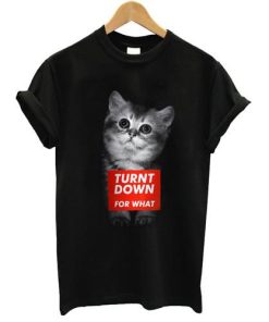 turnt down for what tshirt