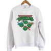 turtles sweatshirt