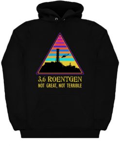 3,6 Roentgen Not Great Hoodie KM