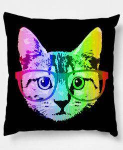 Funny Rainbow Cat Pillow KM