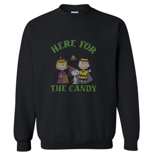 Peanuts Halloween Charlie Sally Here for the Candy Sweatshirt KM