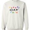 Sounds Gay I’m In Sweatshirt KM