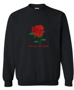 You are my fetish Sweatshirt KM