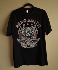 Aerosmith Express Tour tee 1977-1978 T-Shirt KM